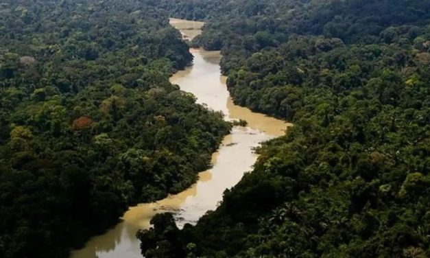 Junho é o “Mês Verde”: campanha reforça conscientização ambiental em todo país