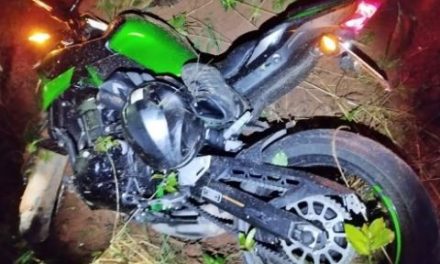 Motociclista atropela porca, cai em barranco e morre na BR-146, em Minas