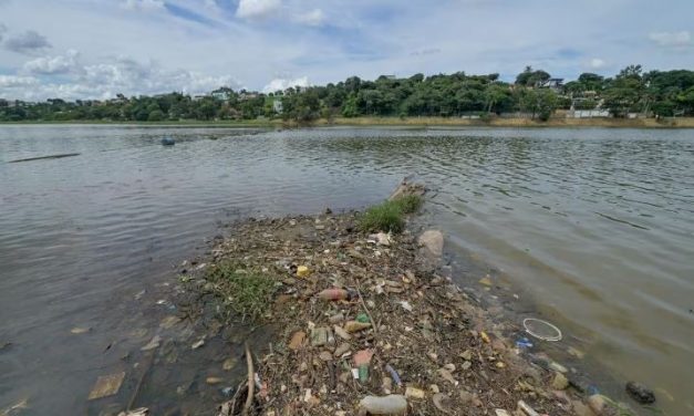 Calor excessivo mata mais de 300 peixes na lagoa da Pampulha, em BH