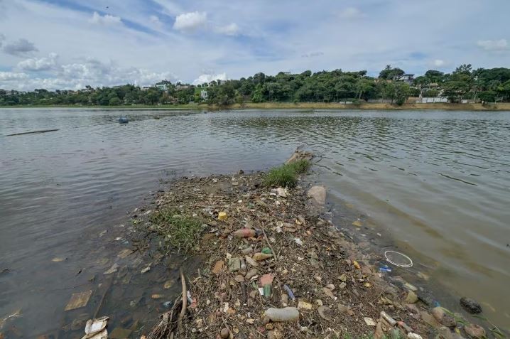 Calor excessivo mata mais de 300 peixes na lagoa da Pampulha, em BH
