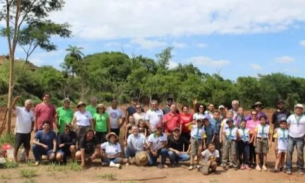 Bom Despacho realiza plantio de mudas de árvores
