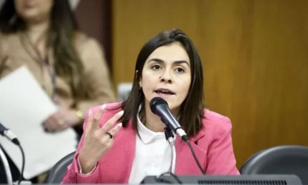 Deputada Lohanna anuncia R$ 1 milhão de emendas para Meio Ambiente no Estado