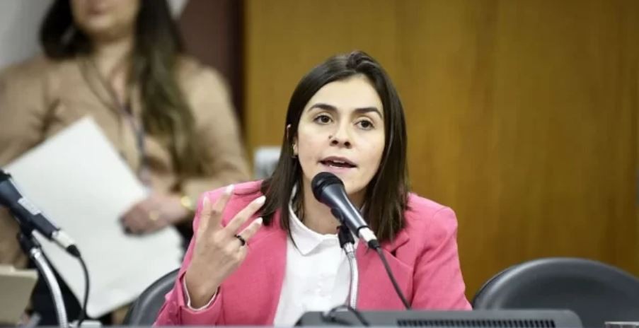 Deputada Lohanna anuncia R$ 1 milhão de emendas para Meio Ambiente no Estado