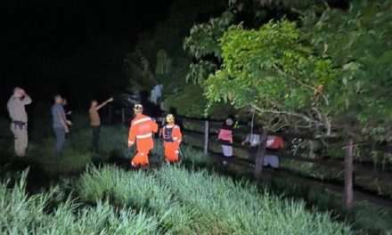 Idoso sai à procura de cabrito fujão e se perde em mata no Sul de Minas