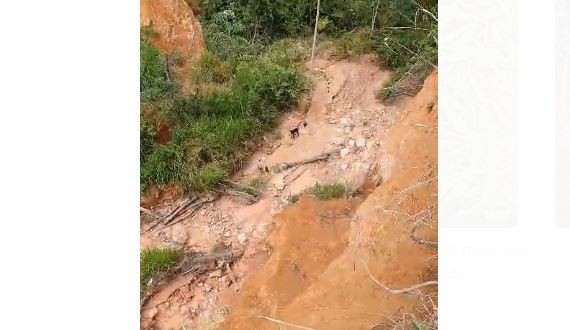 Bombeiros são mobilizados para resgatar cães presos em cratera, em Divinópolis