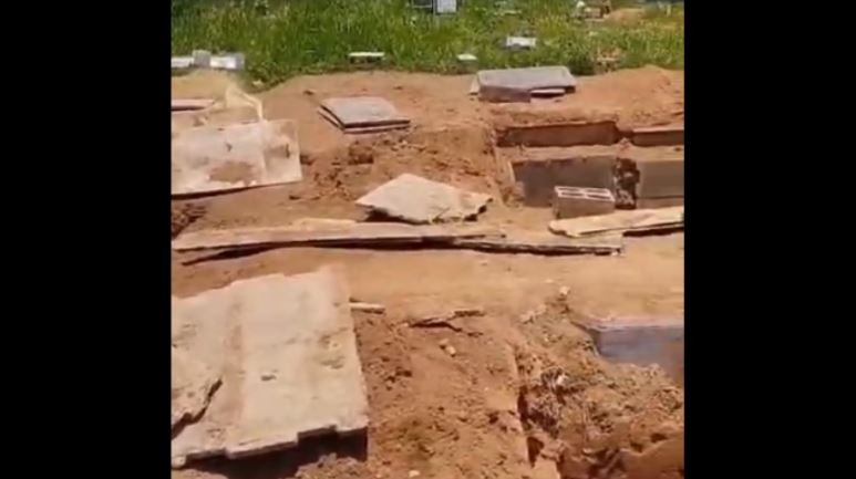 Imagens de covas abertas e ossadas expostas em cemitério de Divinópolis viralizam
