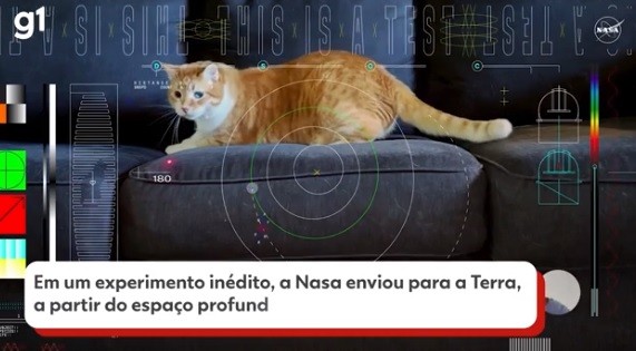 Nasa envia vídeo de gatinho para a Terra com tecnologia a laser; imagens percorreram 31 milhões de km