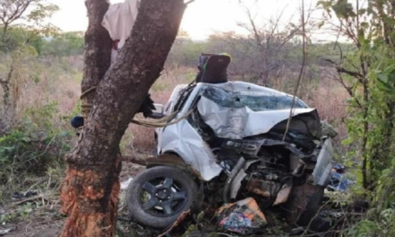 Mãe e filho de 11 anos morrem após carro bater em árvore, no norte de Minas