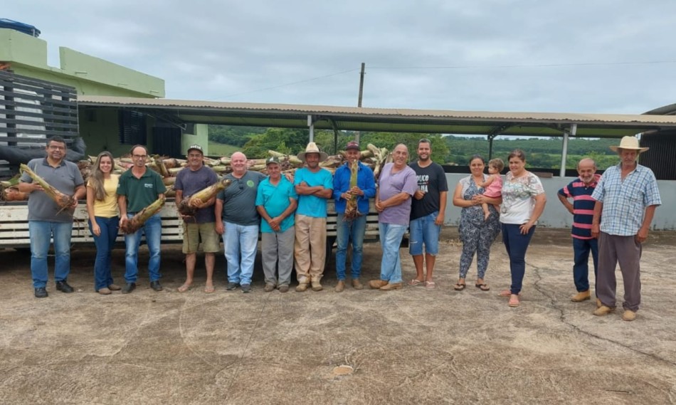 433 mudas de banana são entregues aos produtores da agricultura familiar de Formiga