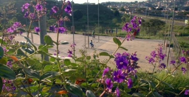 Polícia procura homem que estuprou mulher dentro de parque ecológico