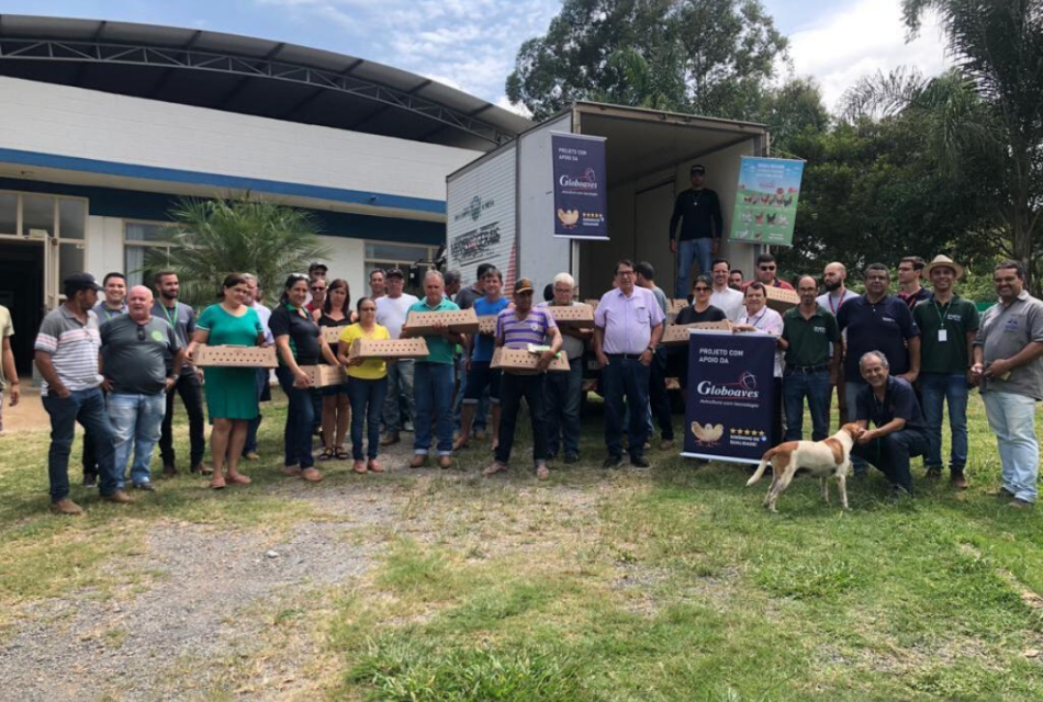 Unifor-MG em parceria com a administração municipal realiza doação de pintinhos a produtores da agricultura familiar
