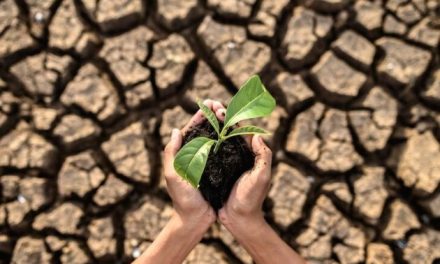 Seca na Amazônia, ondas de calor no Sudeste e chuvas no Sul: saiba como será o verão que começa na sexta