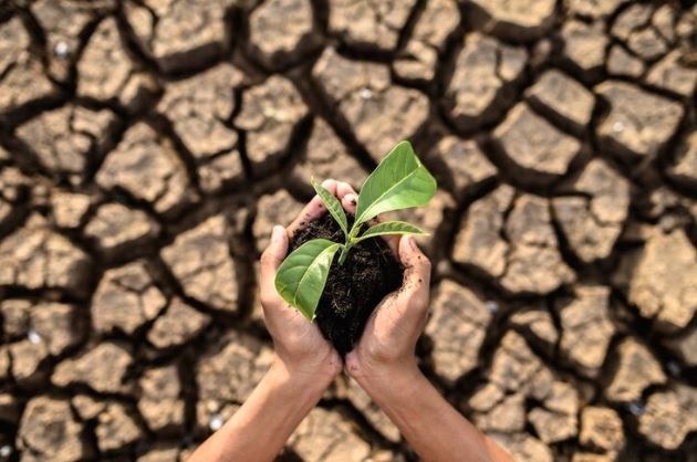 Seca na Amazônia, ondas de calor no Sudeste e chuvas no Sul: saiba como será o verão que começa na sexta