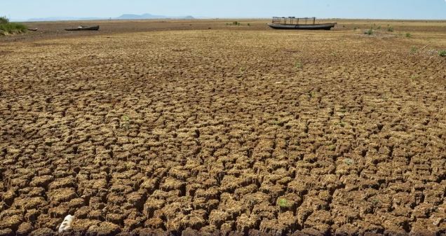 Minas vai suspender a cobrança de ICMS a criadores de gado afetados pela seca
