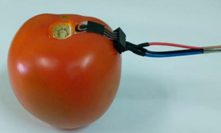 Sensor ambientalmente correto monitora níveis de agrotóxicos na casca de vegetais