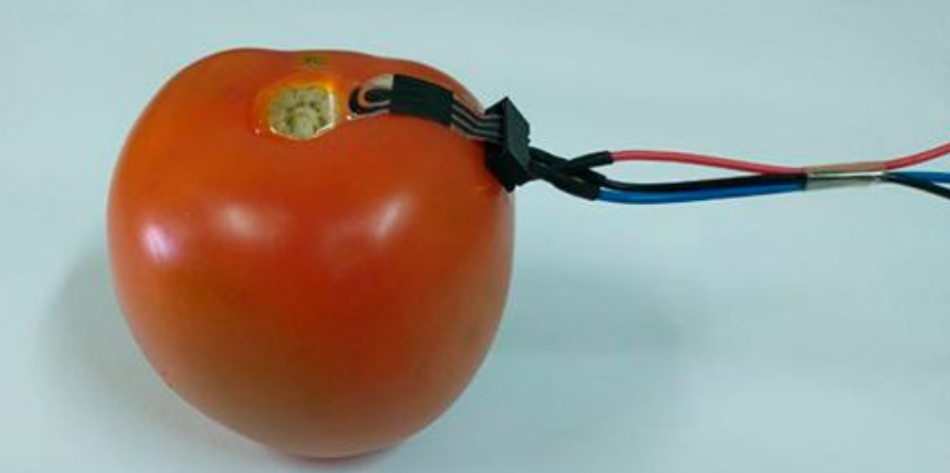 Sensor ambientalmente correto monitora níveis de agrotóxicos na casca de vegetais