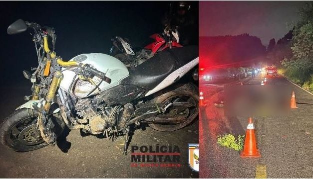 Moto atinge vaca na estrada entre Divinópolis e Carmo do Cajuru