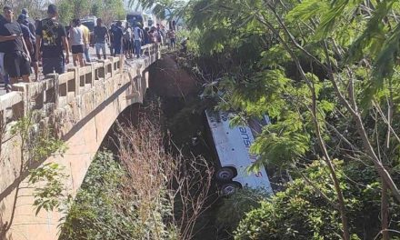 Oito pessoas morrem em acidente com ônibus na BR-116, em MG