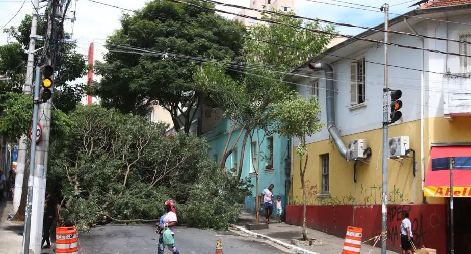 Homem morre após ser atingido por queda de árvore durante temporal