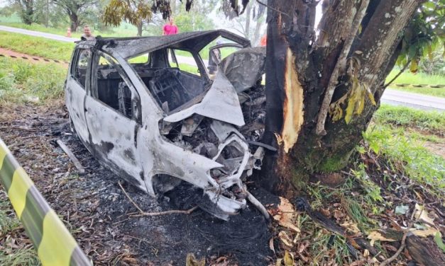 Motorista morre após colidir carro contra árvore, em Pimenta