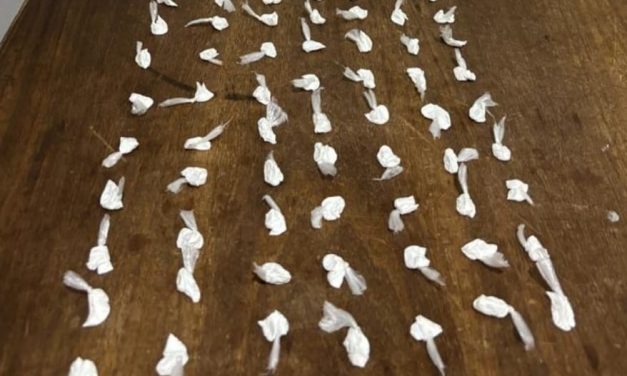 Homens são presos com 84 papelotes de cocaína, em Arcos