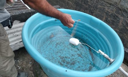 Diversas ações de combate à dengue foram realizadas em Formiga na última semana