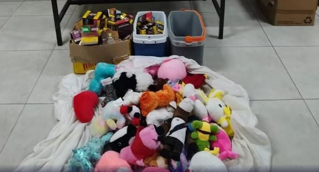 Ladrão furta bichos de pelúcia, balas e energético, mas acaba preso em chiqueiro em MG
