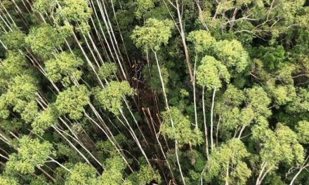 Helicóptero que desapareceu com quatro pessoas é encontrado nesta sexta-feira após 12 dias de buscas