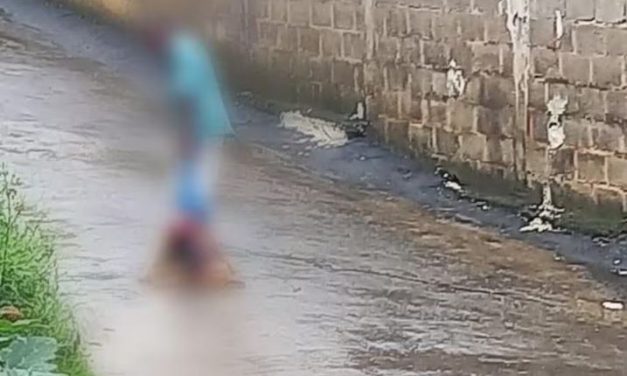 Idoso é preso enquanto se preparava para cozinhar cachorro que ele matou em MG