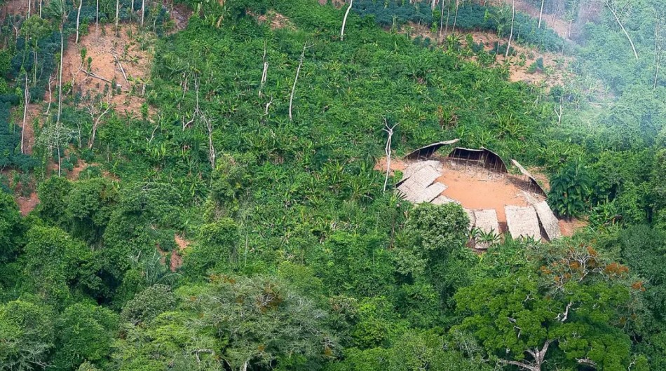 Desmatamento em áreas protegidas da Amazônia caiu 73% em 2023