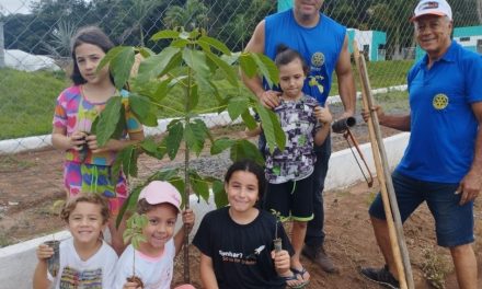 Rotary Kids de Formiga realiza projeto ambiental