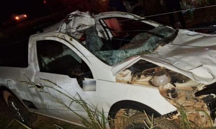 Passageiro morre após caminhonete atropelar boi na MG-060, em Papagaios