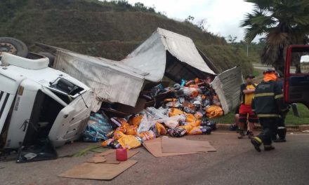 Motorista morre após caminhão carregado com ração perder freio e tombar