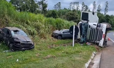 Cegonheira que transportava veículos avaliados em R$ 2 milhões tomba na MG-050