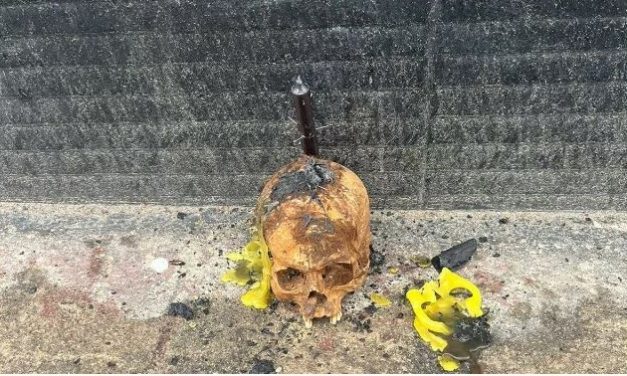 Vendedora demitida é suspeita de furtar cadáver e deixar crânio na porta de loja
