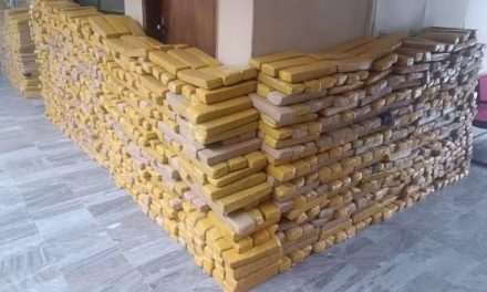 Polícia Militar apreende 3 toneladas de maconha escondidas em sacas de arroz