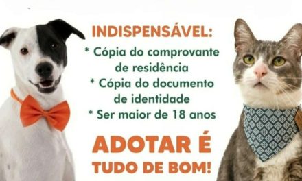 Feira de adoção de cães e gatos será realizada em Formiga no sábado