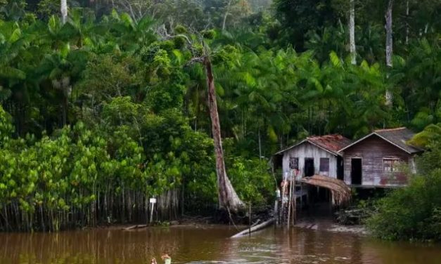 Governo Lula se pronuncia sobre Ilha de Marajó e pede “responsabilidade”