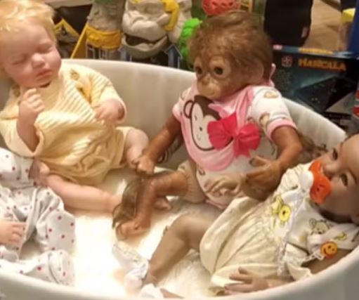 Professor denuncia vitrine racista em loja de brinquedos em shopping