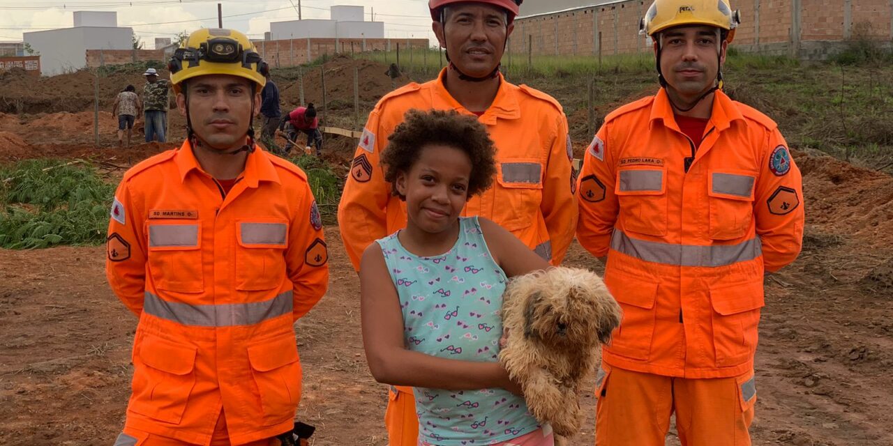Bombeiros resgatam cachorro em buraco de 8 metros em Lagoa da Prata