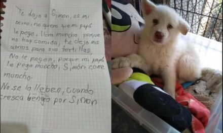 Garoto deixa cachorro em abrigo para salvá-lo de maus-tratos do pai