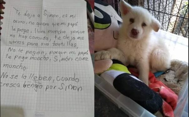 Garoto deixa cachorro em abrigo para salvá-lo de maus-tratos do pai