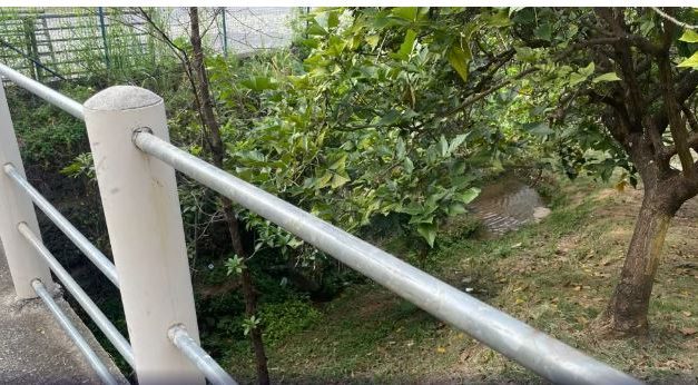 Jovem de 25 anos é encontrado morto em córrego de parque ecológico em BH