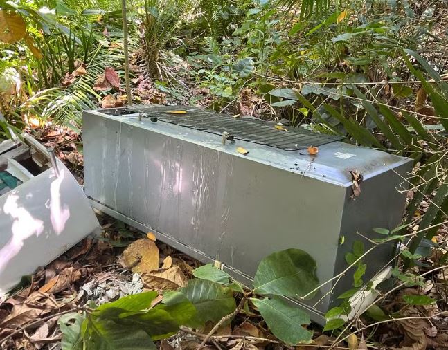 Homem mata sogra com ajuda da namorada e tenta esconder corpo em geladeira