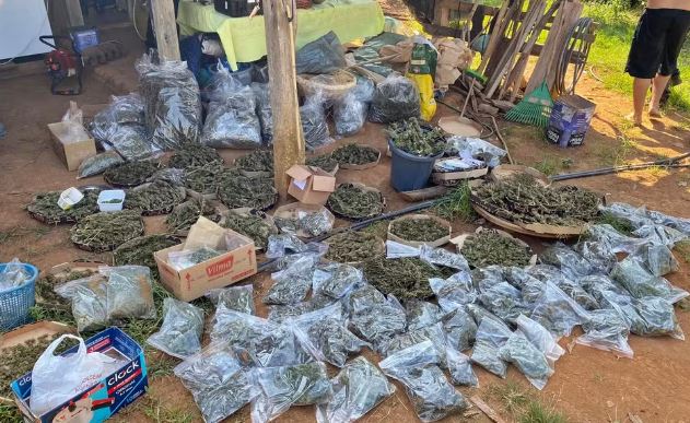 Polícia apreende cerca de uma tonelada de maconha; droga era escondida em embalagens de pizza