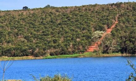 ONS inicia manobras para tentar manter níveis dos lagos de Furnas e Peixoto com fim do período chuvoso