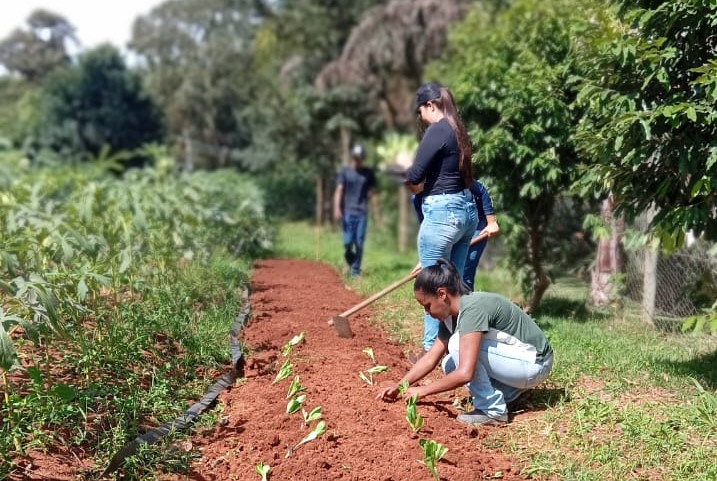 Equipe do Projeto Horta Urbana planta 50 mudas de alface e 50 de couve