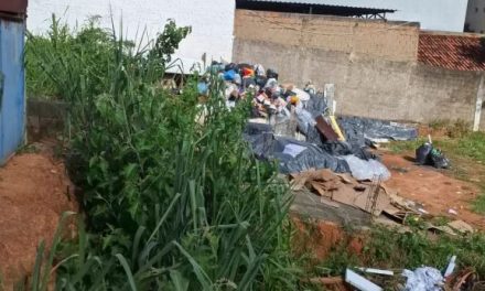 Prefeitura de Divinópolis ignora denúncias de moradores sobre lote com focos de dengue