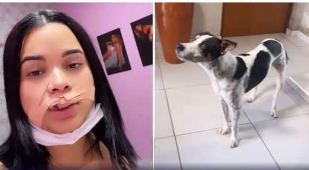 Modelo tentar beijar cachorro e quase tem lábio arrancado