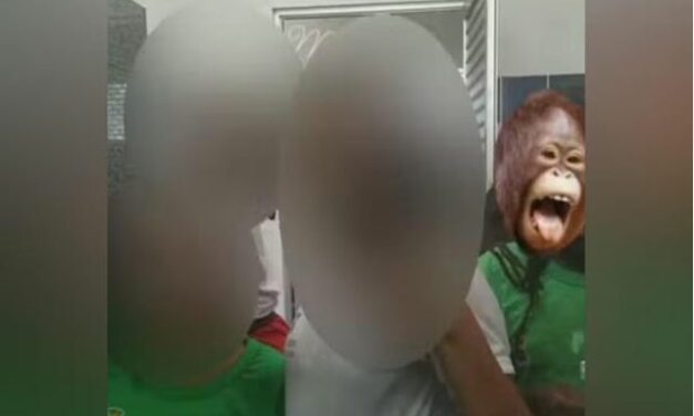 Criança tem o rosto trocado por figurinha de macaco em foto